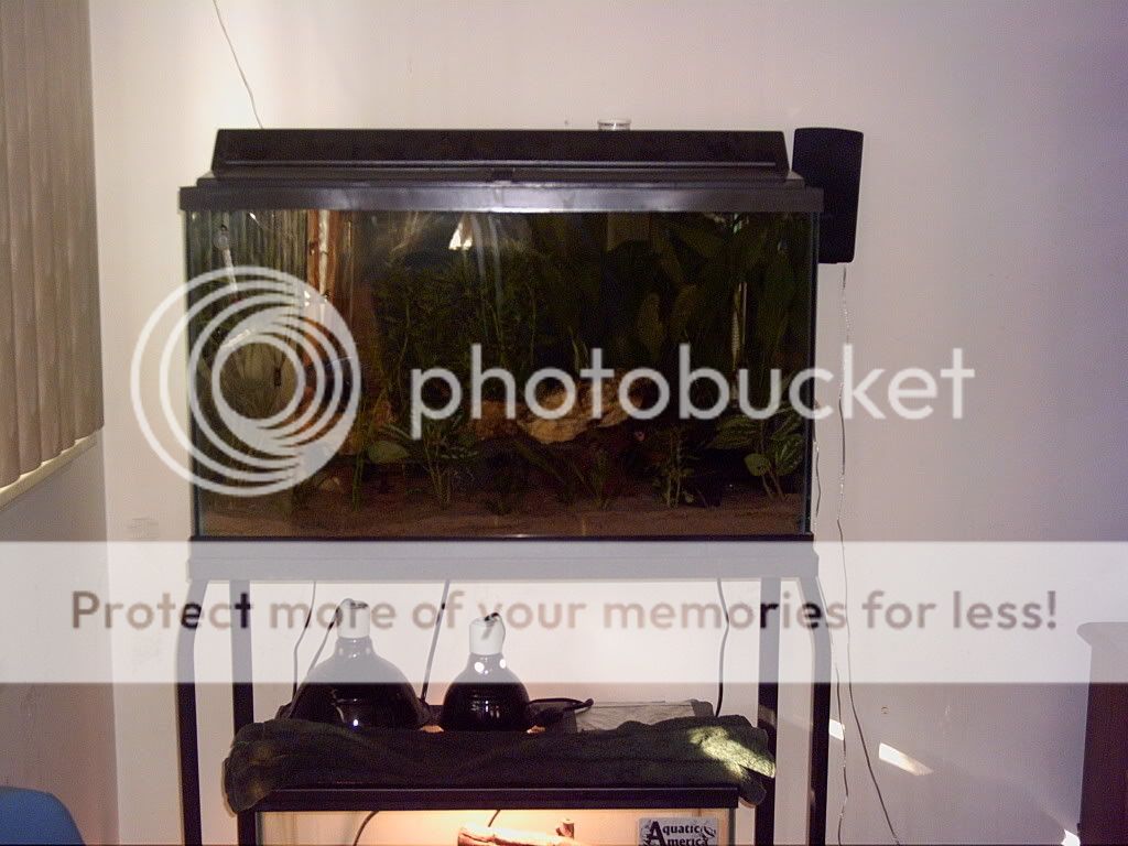 PICT0053.jpg