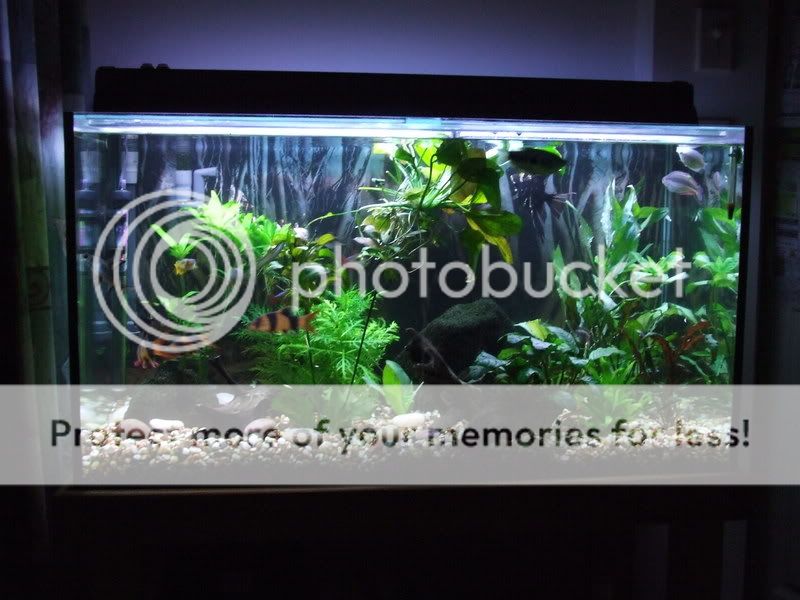 DSCF5629.jpg