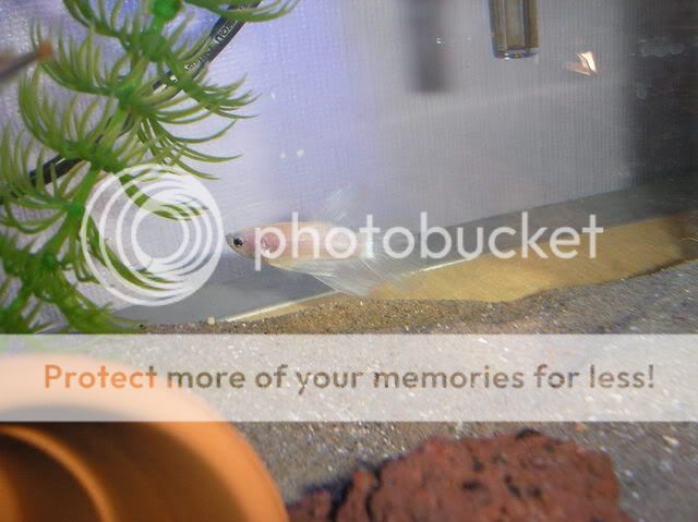 PB030088.jpg