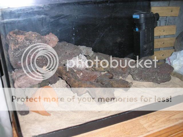 PB030102.jpg