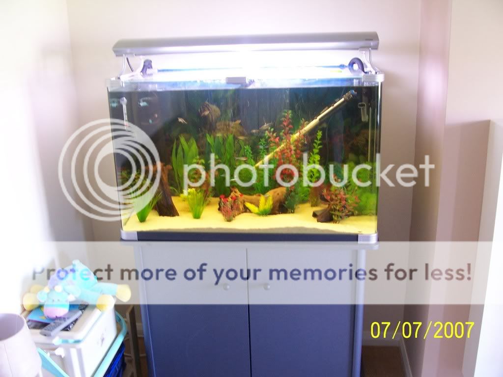 100_2529.jpg