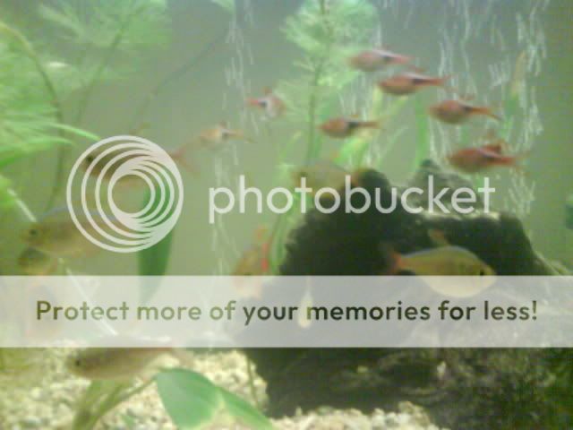 DSC00140.jpg