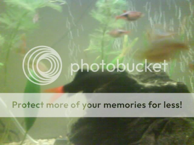 DSC00143.jpg