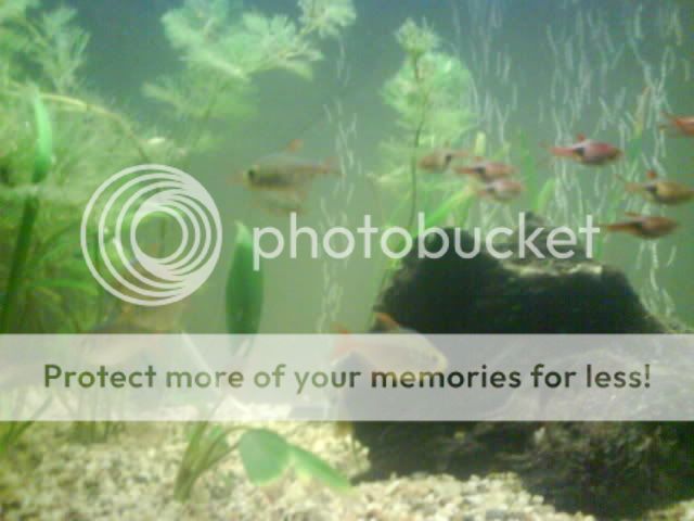 DSC00150.jpg
