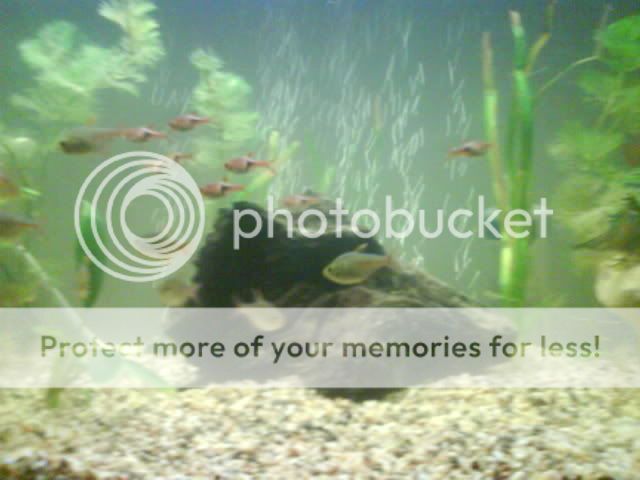 DSC00151.jpg