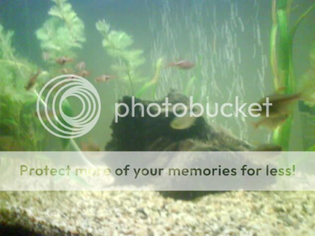 DSC00157.jpg