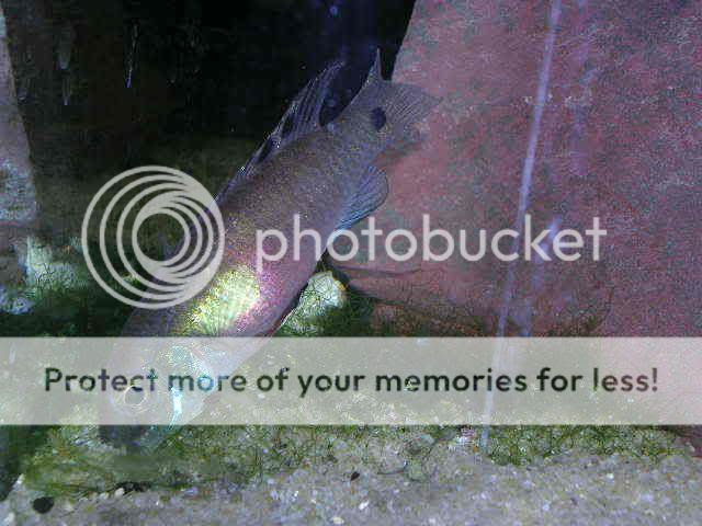 DSCN2686.jpg