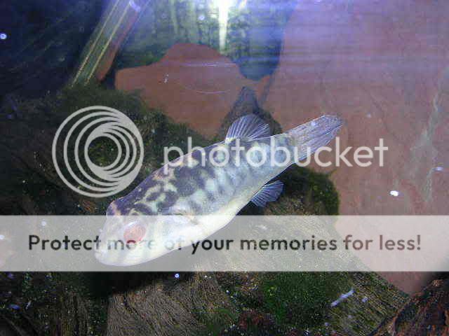 DSCN2693.jpg