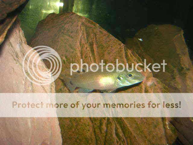 DSCN2702.jpg