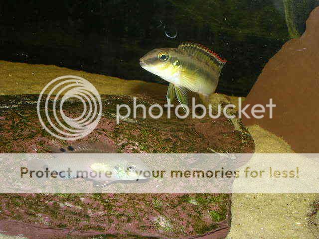 DSCN2705.jpg