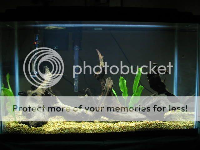 Picture066.jpg