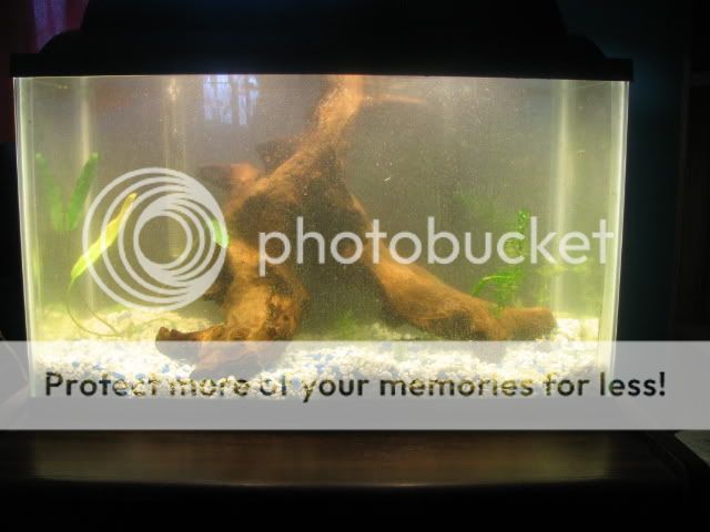 Picture091.jpg