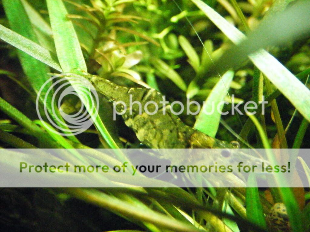 DSCF0086.jpg