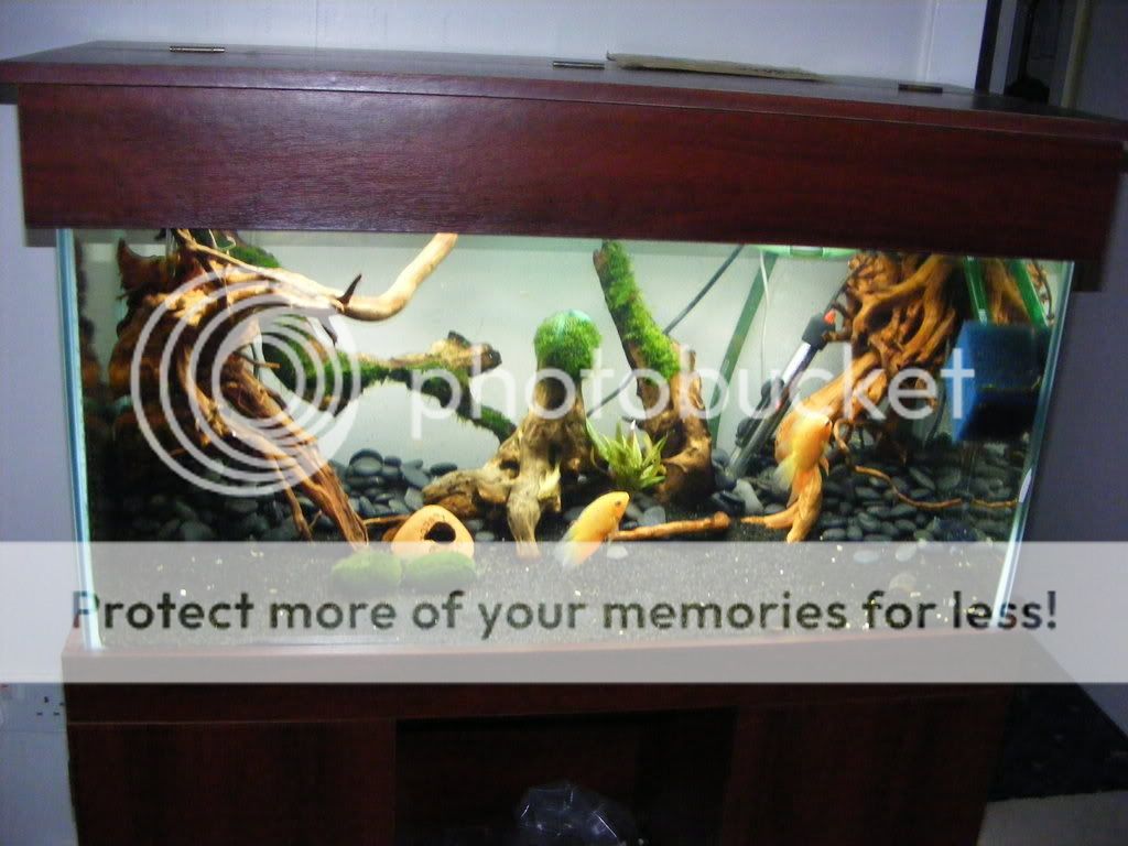 DSCF0606.jpg