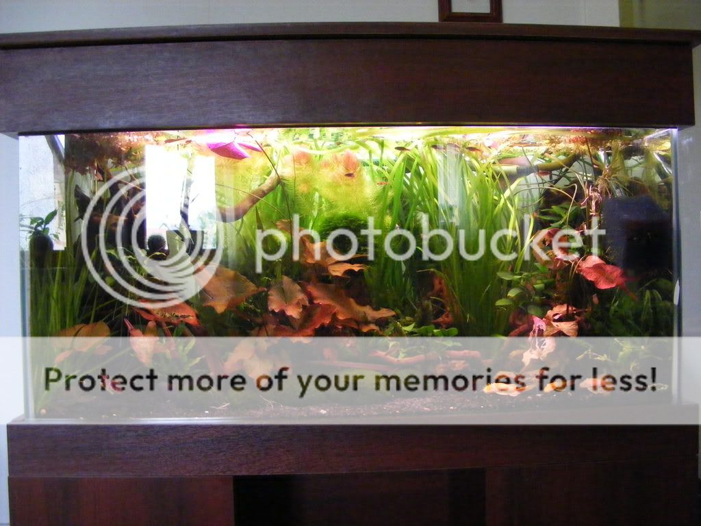 DSCF0685.jpg