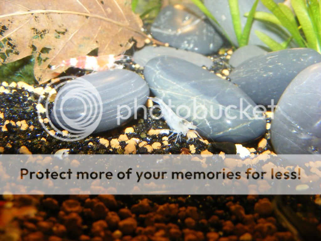 DSCF1219.jpg