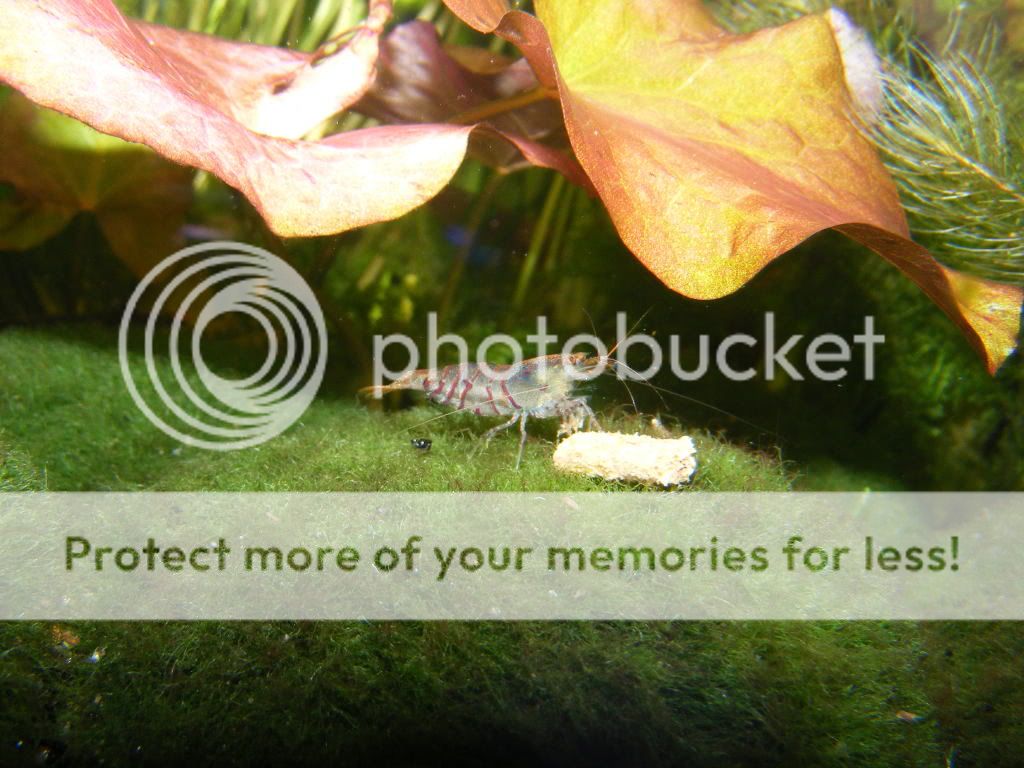 DSCF1224.jpg