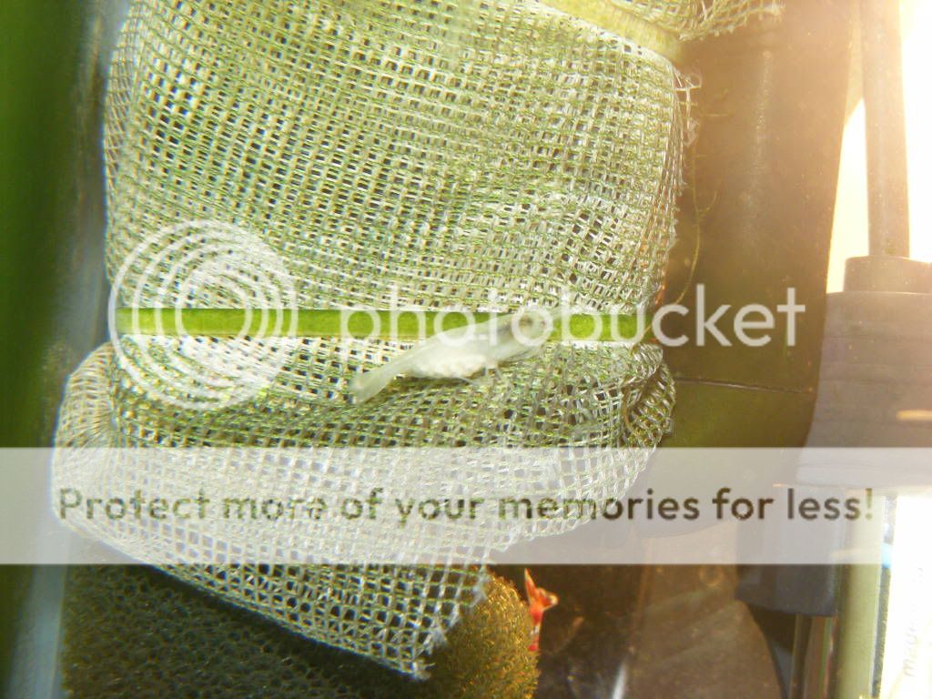 DSCF1228.jpg