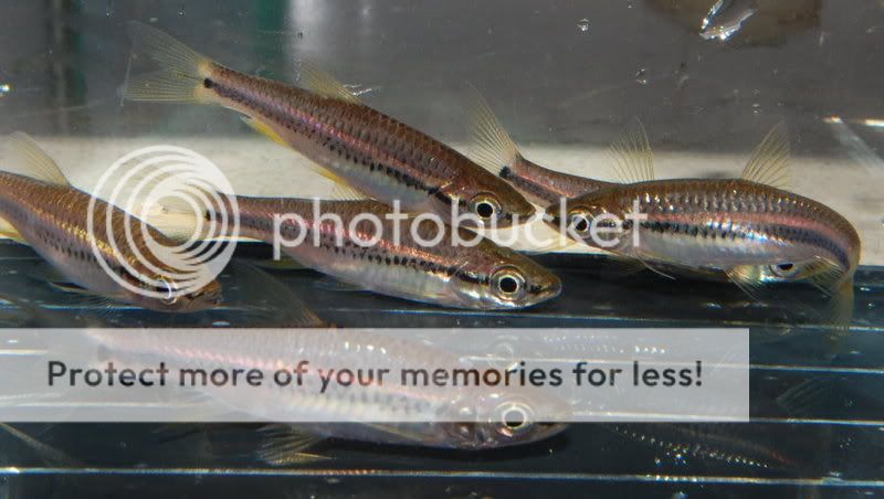 DSC_1385.jpg