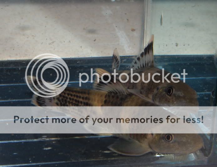 DSC_1390.jpg