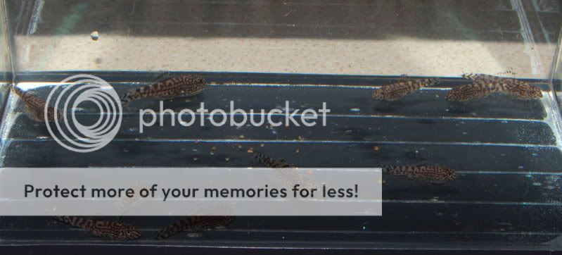 DSC_1412.jpg