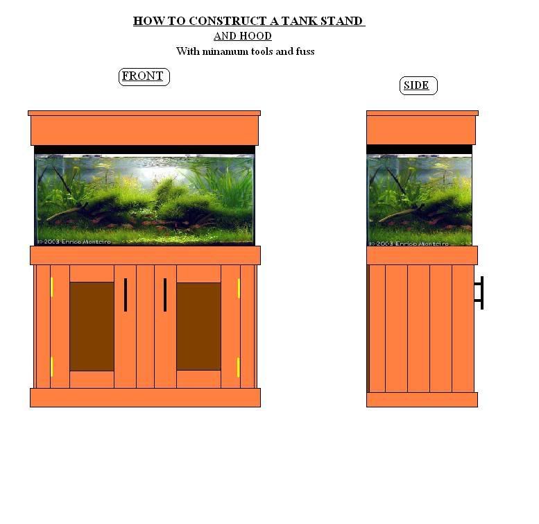 tankstandintroduction.jpg