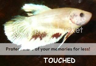 TOUCHED9.jpg