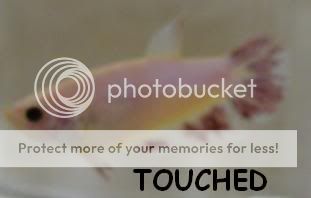Touched1.jpg