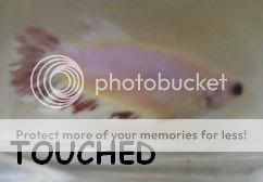 Touched2.jpg