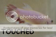 Touched3.jpg