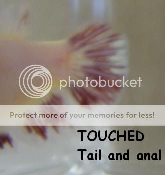 Touched4.jpg