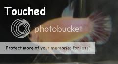 Touched5.jpg