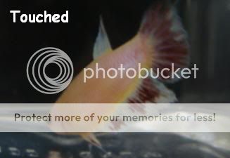 Touched6.jpg