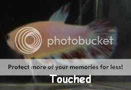 Touched7.jpg