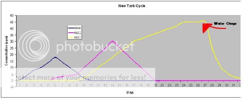 cycle_graph.jpg