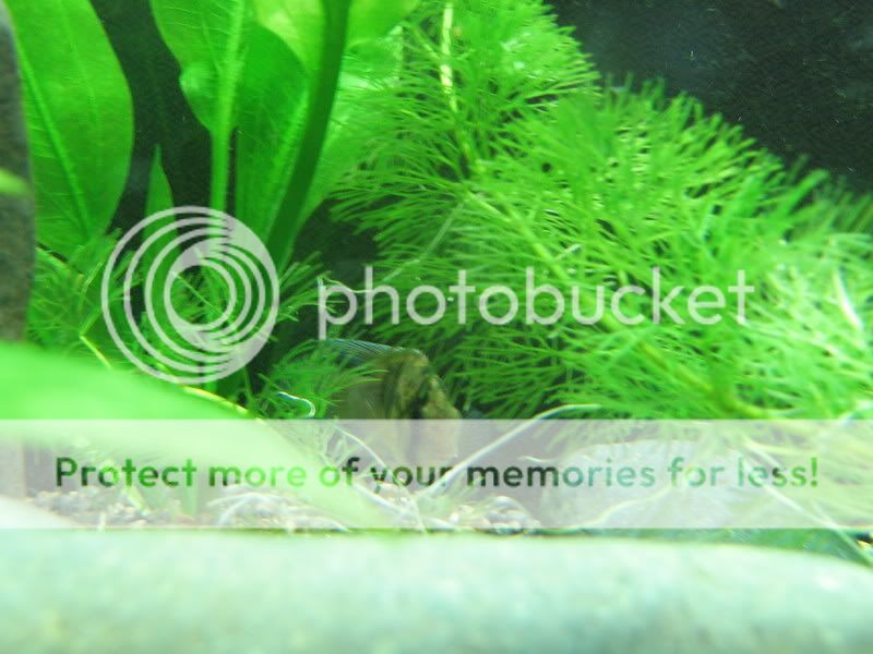 PictureorVideo405.jpg