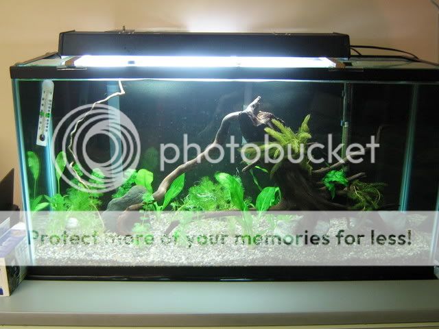 PictureorVideo496.jpg