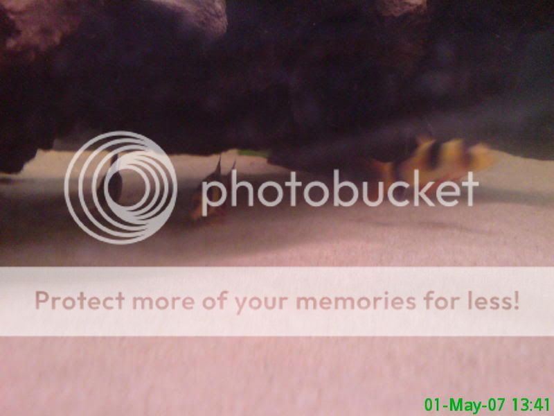 DSC00080-1.jpg