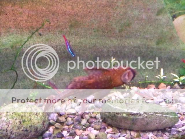 2006_1112PicsSundays0008.jpg