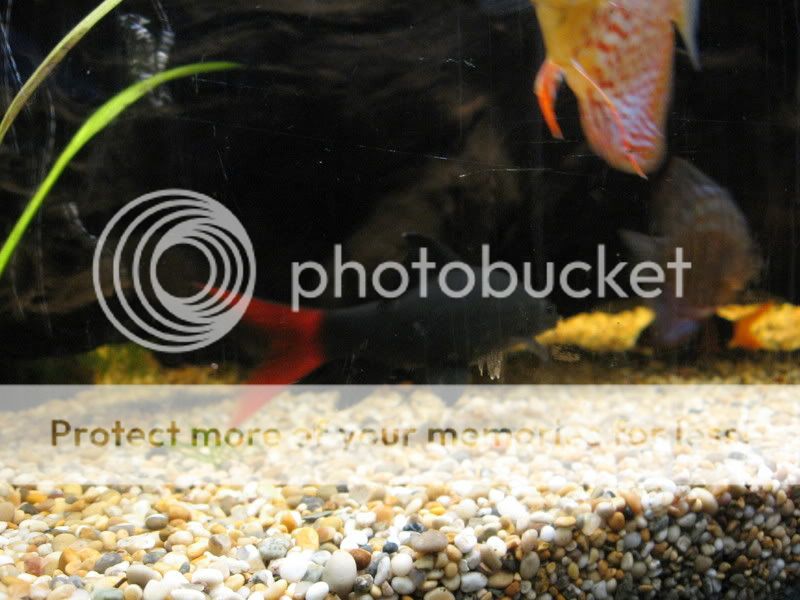 IMG_0143.jpg