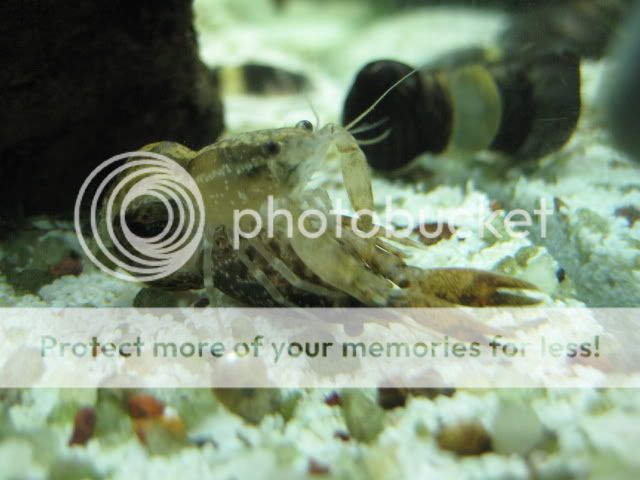 IMG_0361.jpg