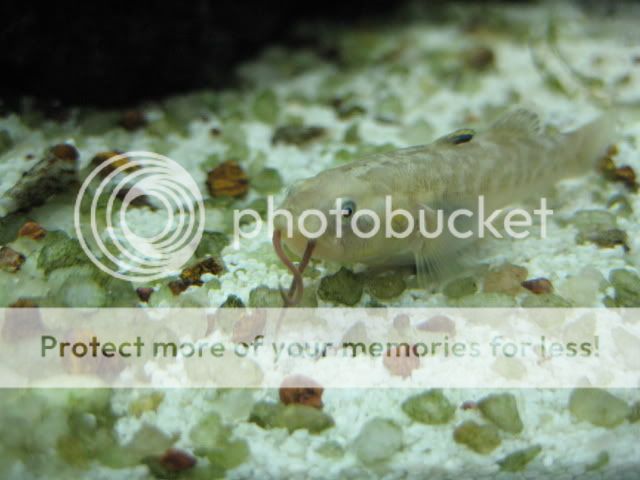 IMG_0364.jpg