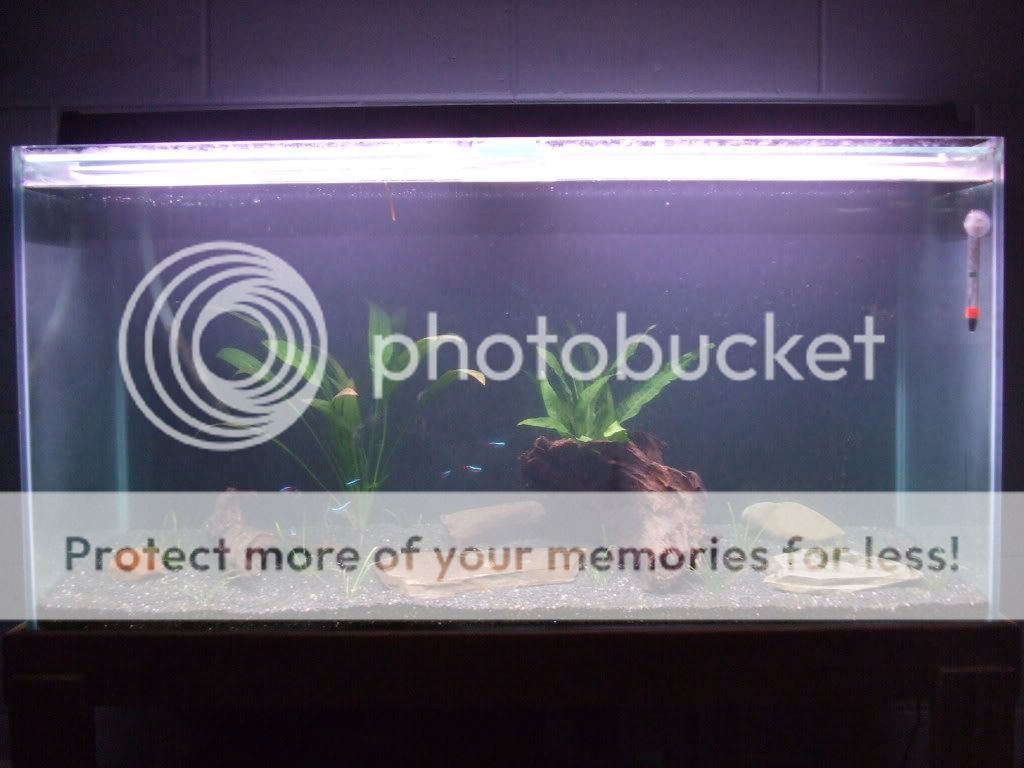 DSCF4589.jpg