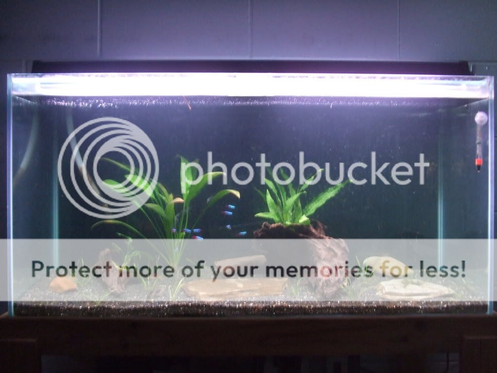 DSCF4592.jpg