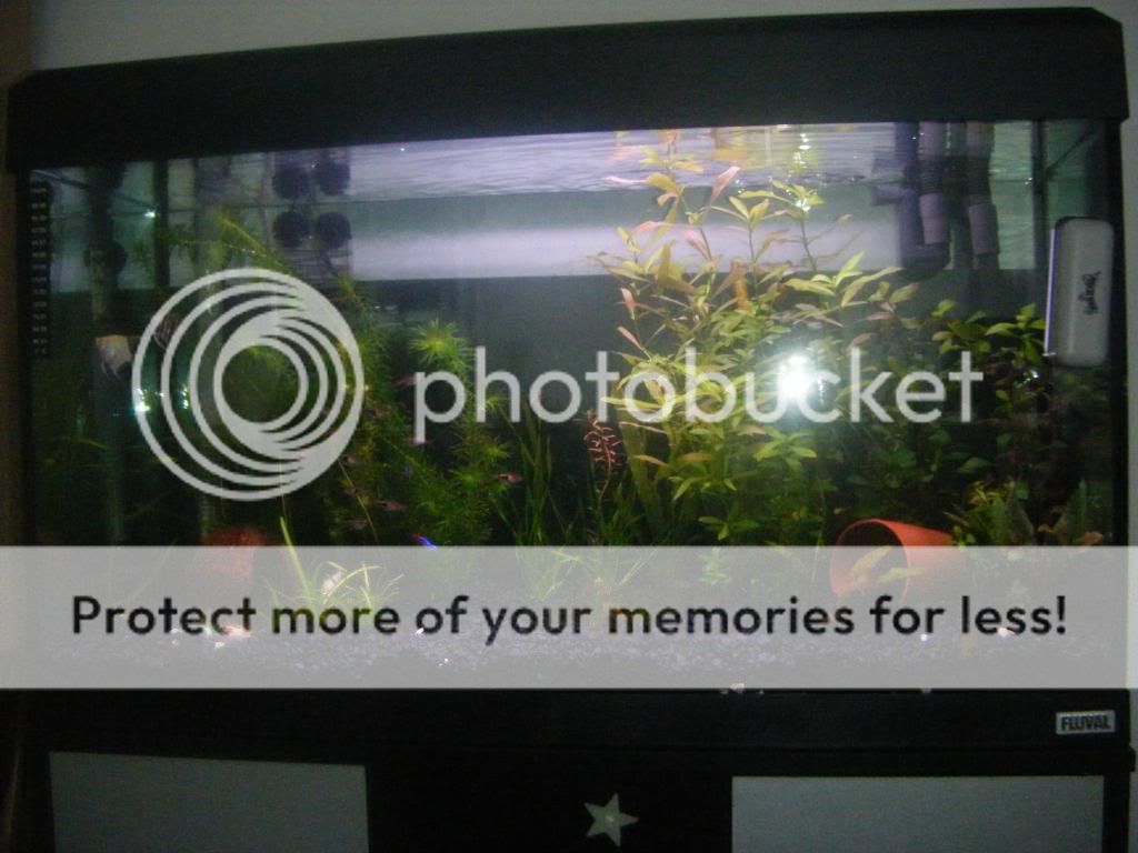 DSCF0242.jpg