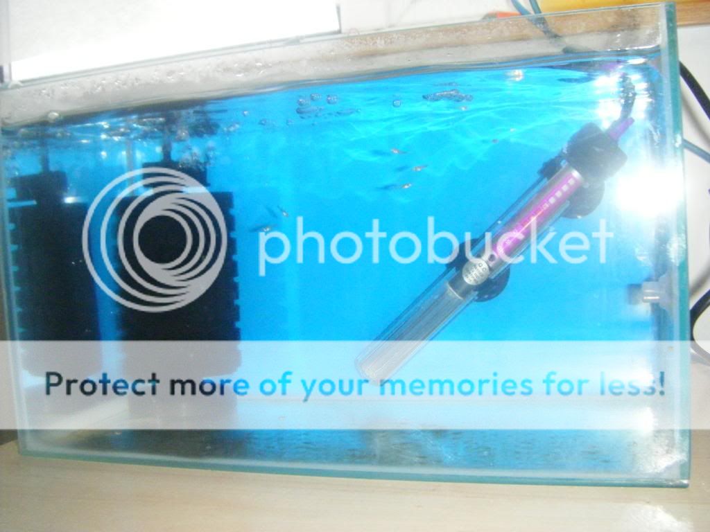 DSCF0248.jpg