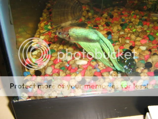 IMG_1992.jpg
