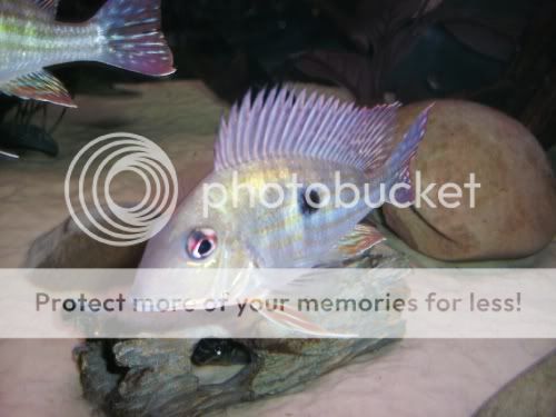fin.jpg