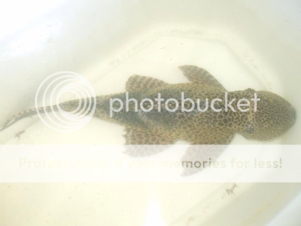 4787DB28-4D01-4018-A485-8A166B7E24DE-2122-000001B4EC474AC5.jpg