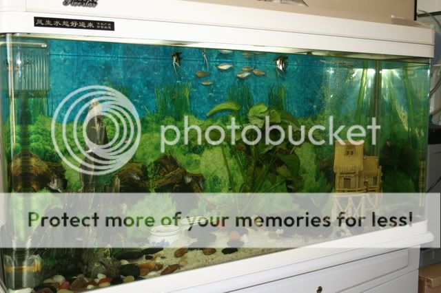 oct26008.jpg
